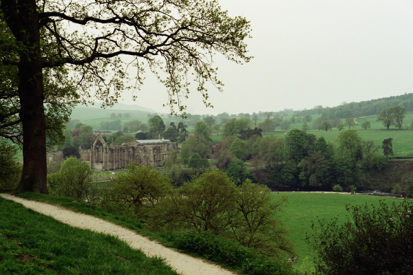 Bolton Priory 