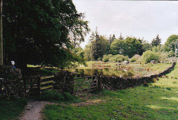 Home Farm pond