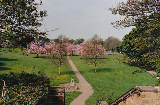 Ilkley park 