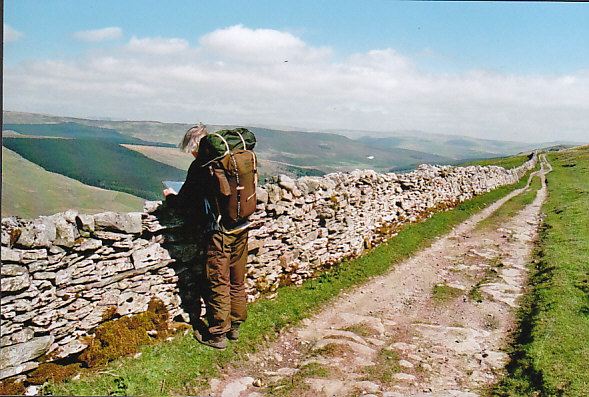 Dodd Fell