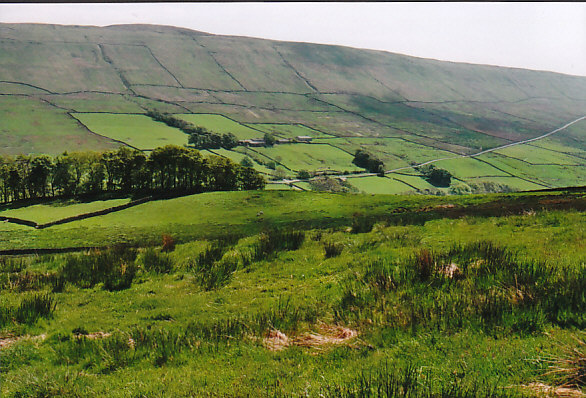 Sleddale