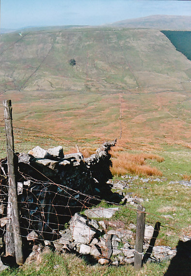 Snaizeholme Fell