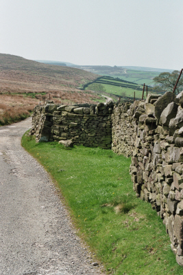 Towards Bronte Falls